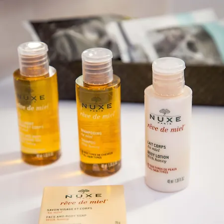 Hotel Ibis Styles Centre